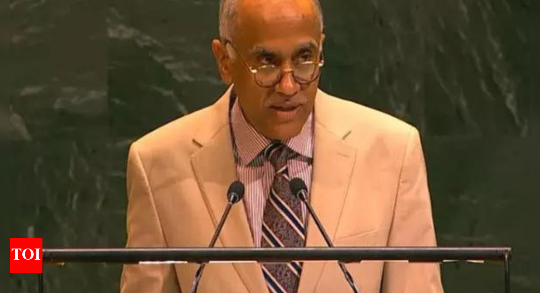 'No solution on battlefield': India raises Ukraine conflict at UN; points to 'collateral consequences'