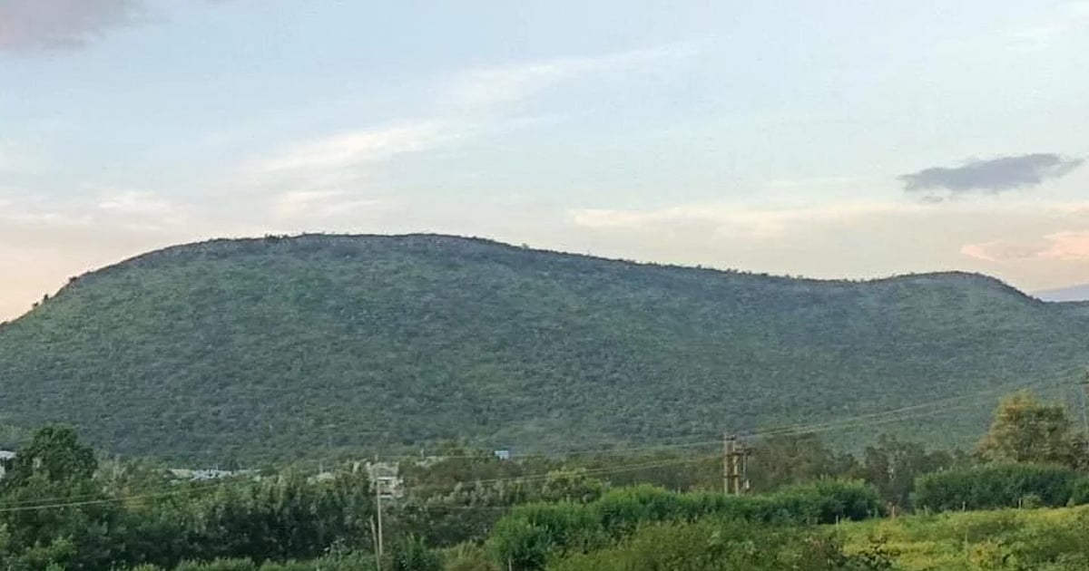 Bengaluru firm hunts for gold in Chikkamagaluru forest
