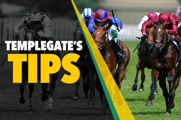 Horse racing tips: ‘Handicapper has underestimated her’ – Templegate’s 7-2 NAP could be thrown in