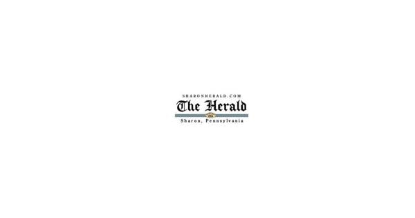 Stabbing victims testify at preliminary hearing