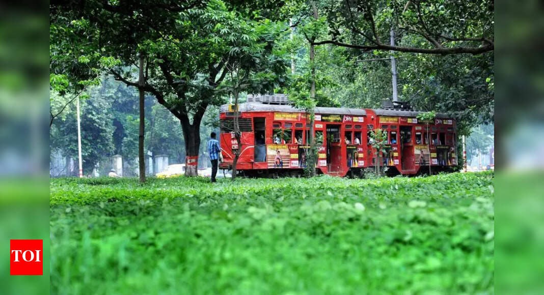 Follow Prague model, transform trams into feeder service to metro network: Experts