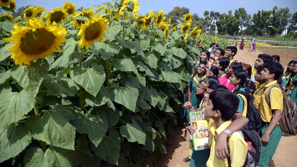 UAS-B makes AI and ML programmes mandatory for all agricultural science students in Bengaluru campus